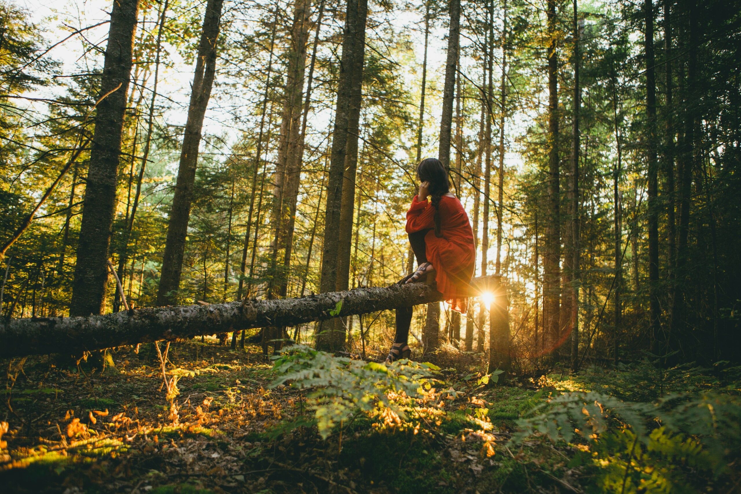 Personne assise sur un tronc d’arbre en forêt, enveloppée d’un plaid rouge, méditant au coucher du soleil dans une atmosphère calme et naturelle.